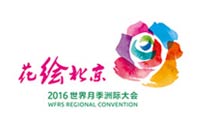 大興月季花會(huì)