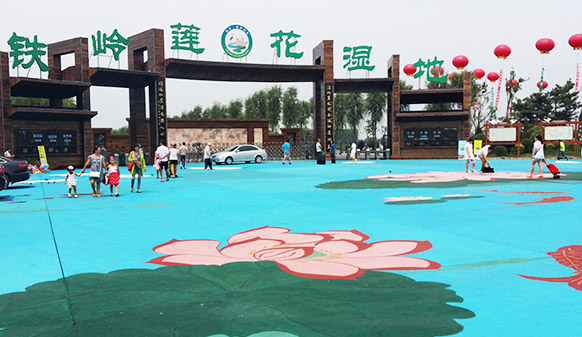 來蓮花濕地公園漫步，感受腳下生花